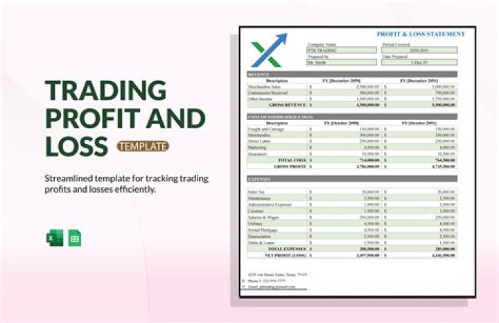Trading Profit and Loss Account Questions & Answers PDF