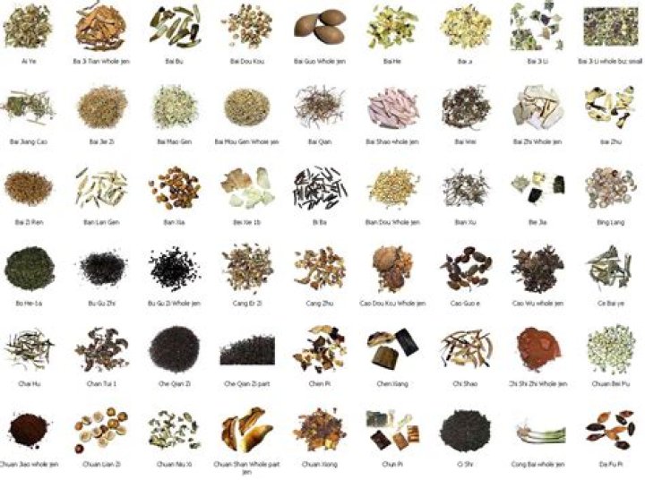 Complete Traditional Chinese Medicine Herbs List PDF: Essential Guide