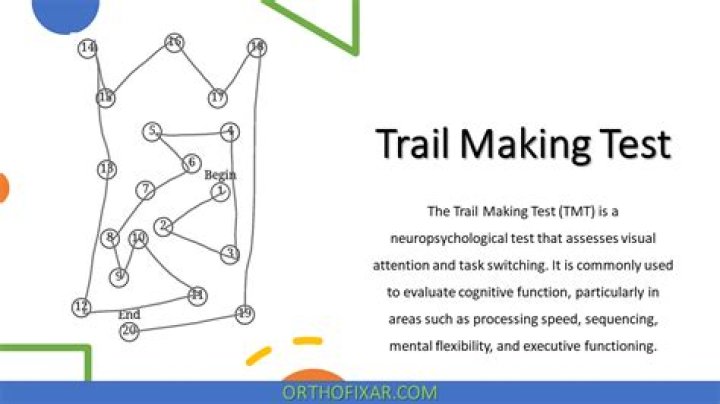 Trail Making Test Español PDF: Guía y Evaluación Completa