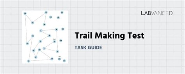 Manual de Prueba de Ensayo de Camino Español PDF: Guía Completa