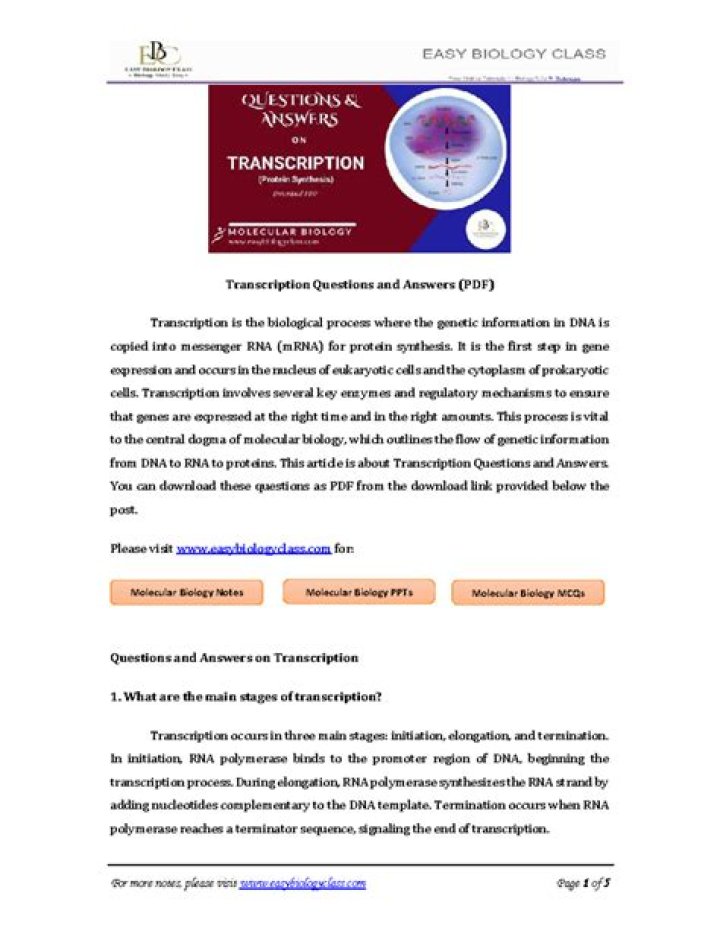 Transcription Questions and Answers PDF for Accurate Results