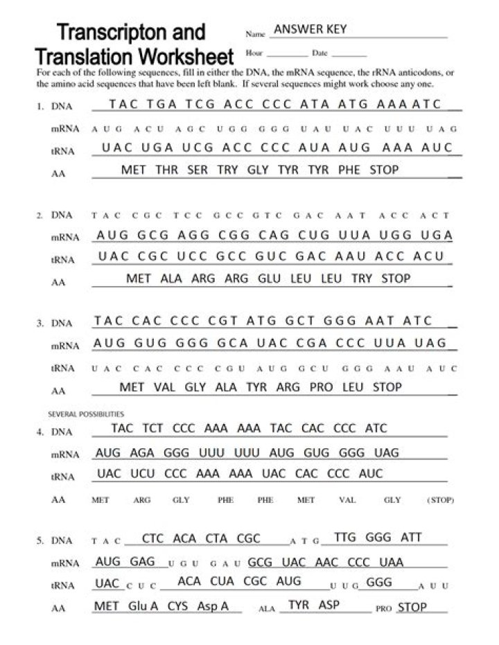 Free Transcription Worksheet Answers PDF – Download Now