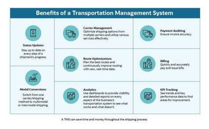 Essential Guide to Transportation Management Systems PDF