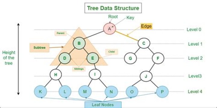 Tree Data Structure Questions and Answers PDF Guide