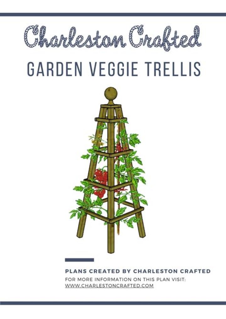 Free Trellis Plans PDF – Download Free Garden Support Designs