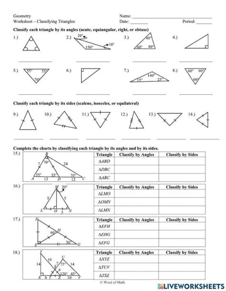 Triangle Questions and Answers PDF – Expert Guide