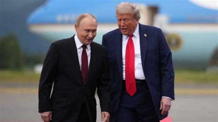 Trump and Putin Comparing the men behind the meeting BBC News