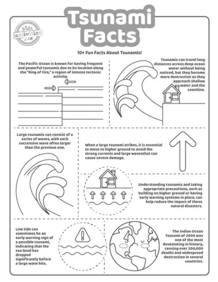 Free Tsunami Worksheet PDF – Emergency Preparedness Lesson Plan