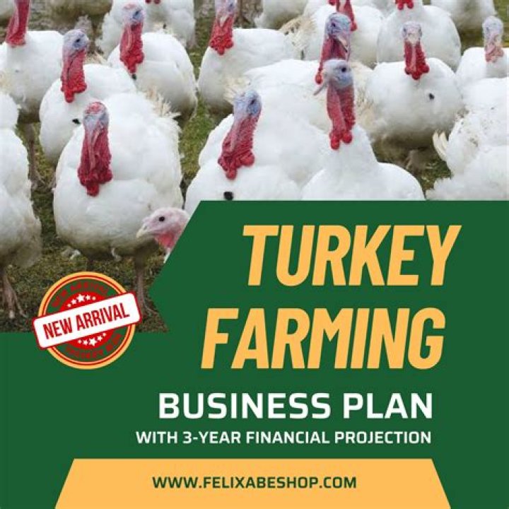 Turkey Farming Business Plan PDF – Step-by-Step Guide