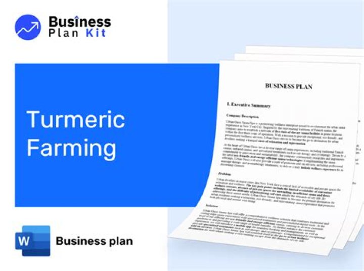 Turmeric Business Plan PDF: Launch Your Natural Wellness Venture