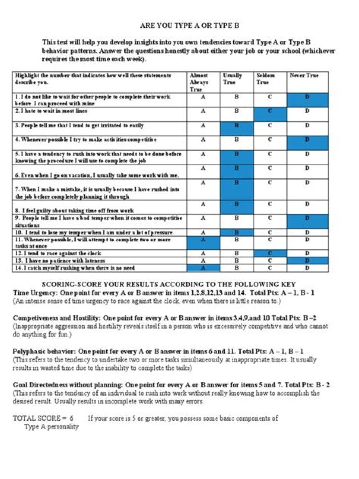 Type A vs B Personality Test: Full PDF Guide & Results