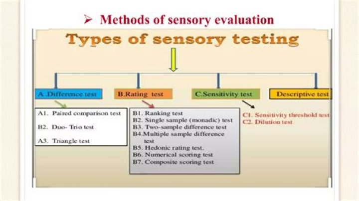 Types of Sensory Evaluation Tests: A Comprehensive PDF Guide