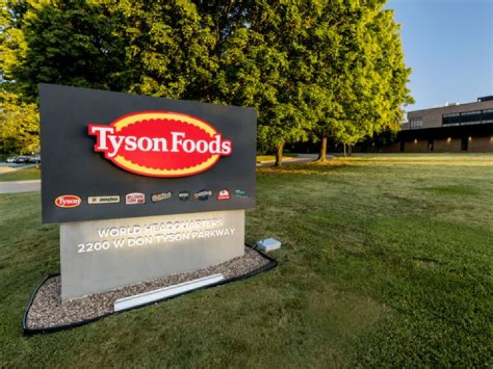 Tyson Foods Products List PDF: Complete Guide & Pricing