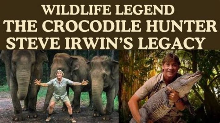 Uncovering Steve Irwin's Staggering Net Worth: A Legacy Of Wildlife Conservation
