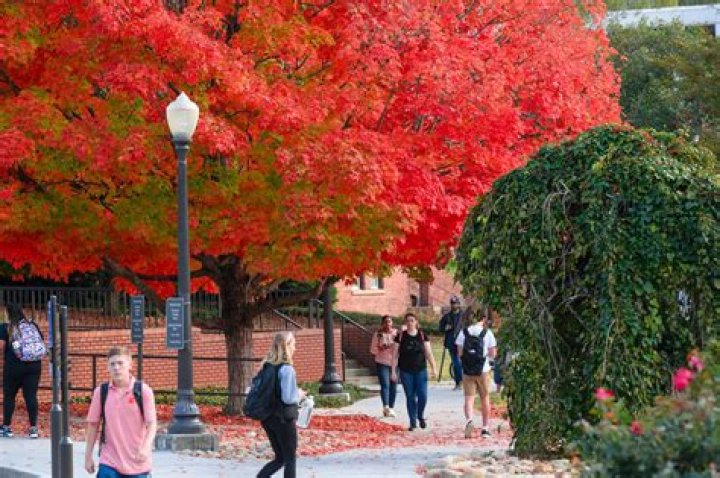 UAB President's Spring 2024 List Revealed: Full PDF Access