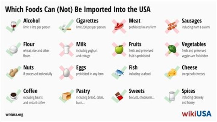 US Customs Allowed Food List PDF: What You Can Bring Into the USA