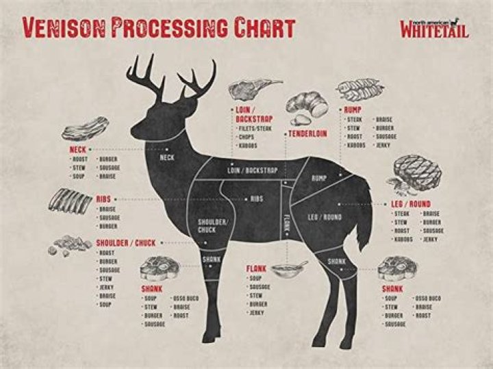 Vans Deer Processing Price Sheet PDF – Download Cost & Quotes