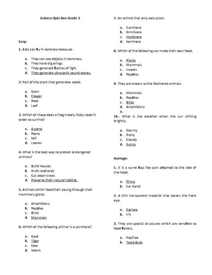 VB6 Questions & Answers PDF: Master Windows Forms Programming