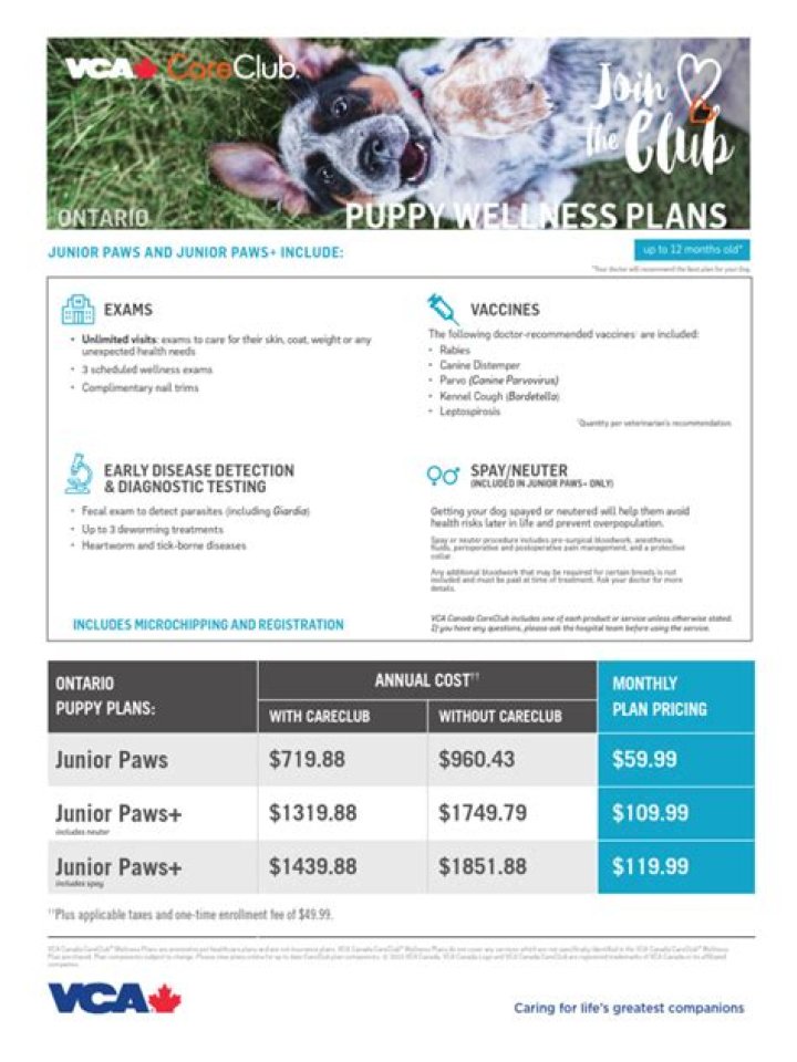 VCA Care Club Plans PDF: Comprehensive Care Guidelines & Membership Options
