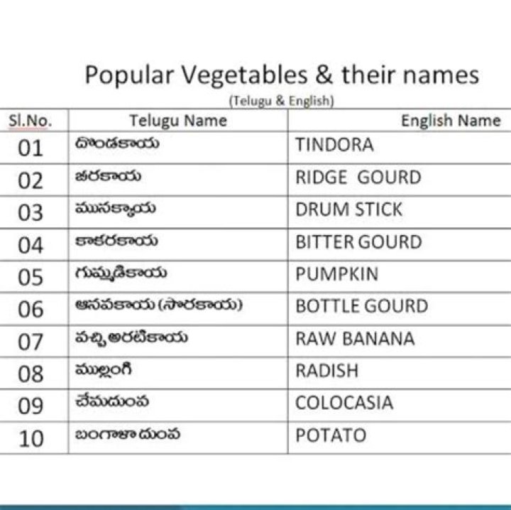 Veg Curries List in Telugu PDF – Easy Cooking Guide