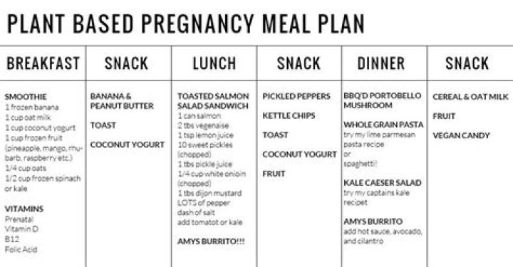 Vegan Pregnancy Meal Plan PDF: Nutritious Weekly Guide