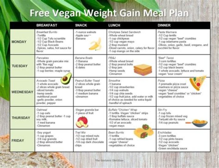 Vegan Weight Gain Meal Plan PDF for Healthy Gains