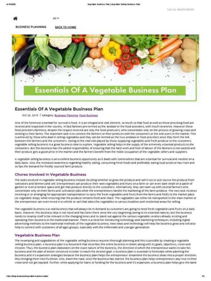 Launch Your Vegetable Selling Business: Expert PDF Business Plan