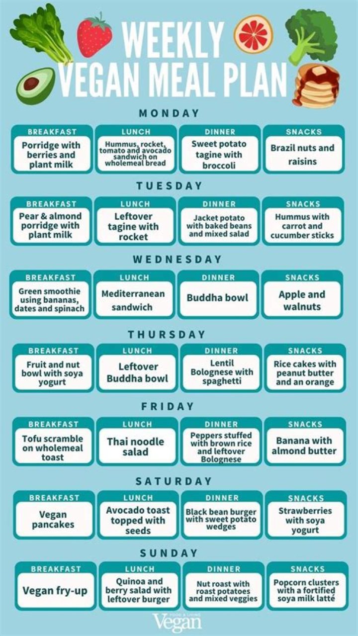 Vegetarian Pregnancy Meal Plan PDF for Healthy Baby & Mom
