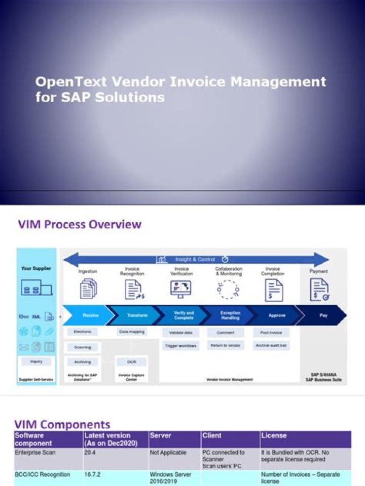 Streamline Vendor Invoice Management with SAP PDF Automation