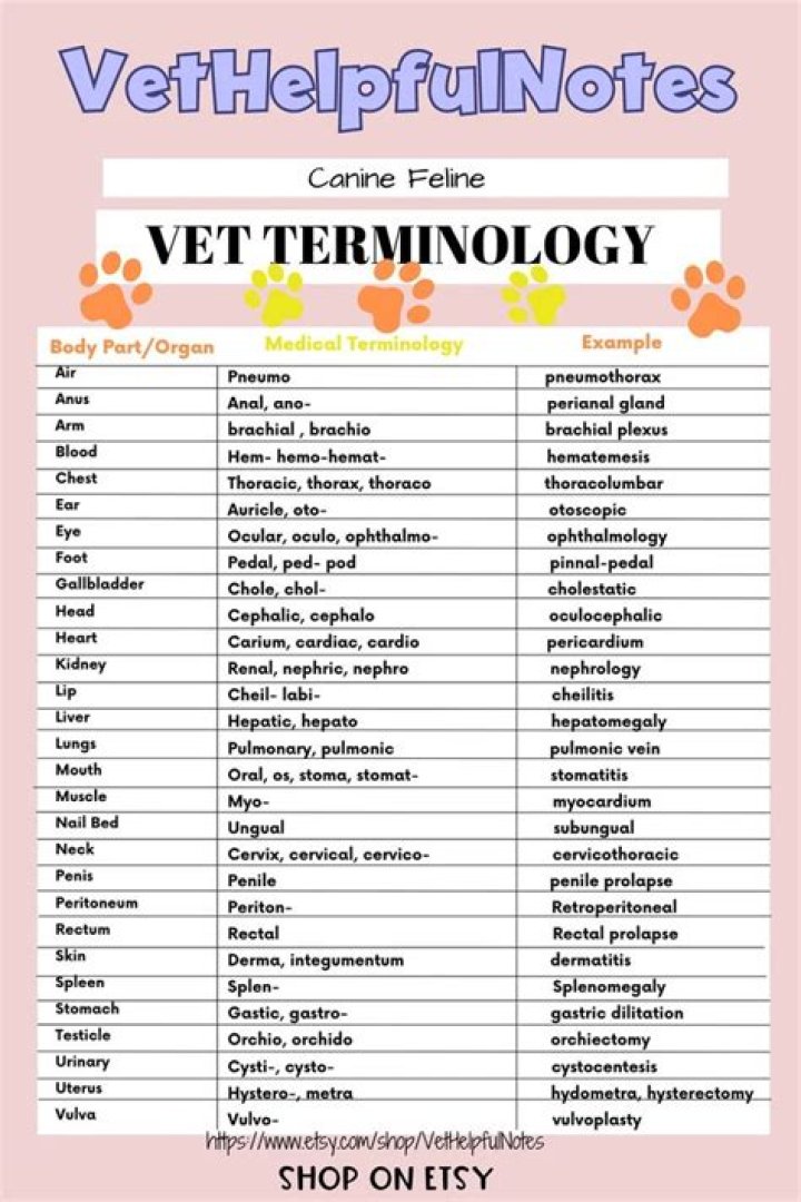 Essential Vet Tech Cheat Sheets PDF for Quick Reference