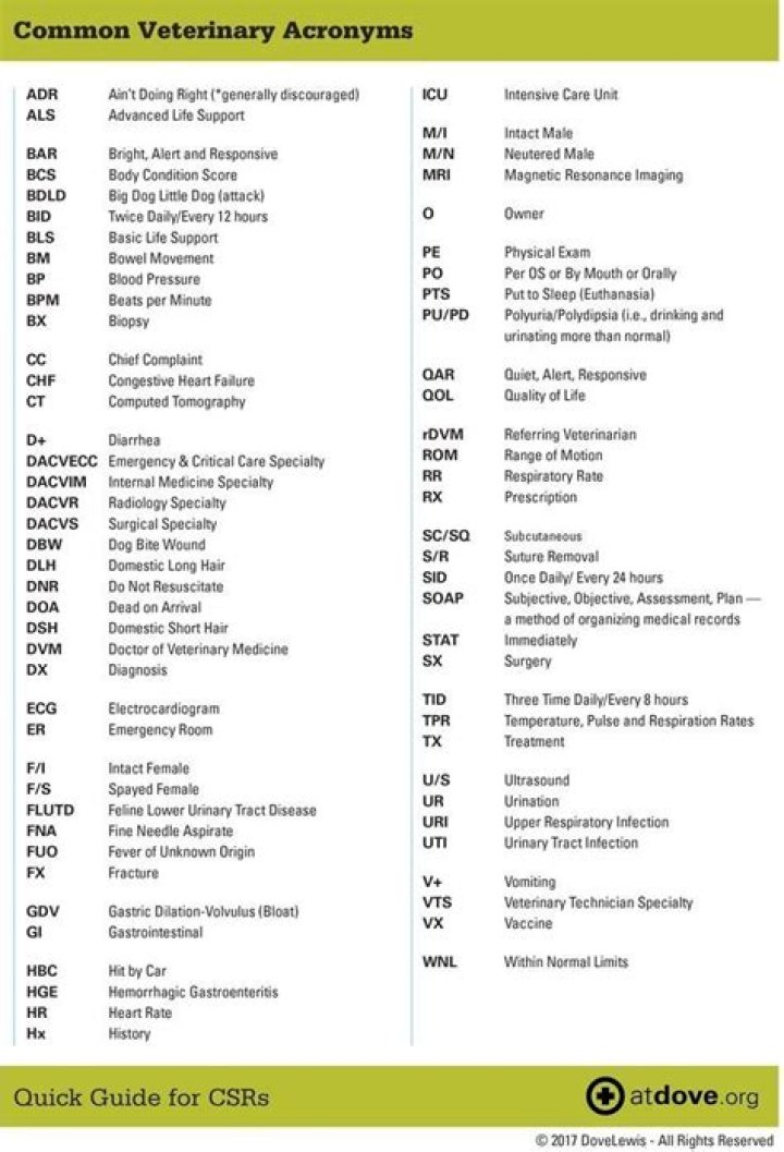 Complete Veterinary Abbreviations List PDF – Free Download
