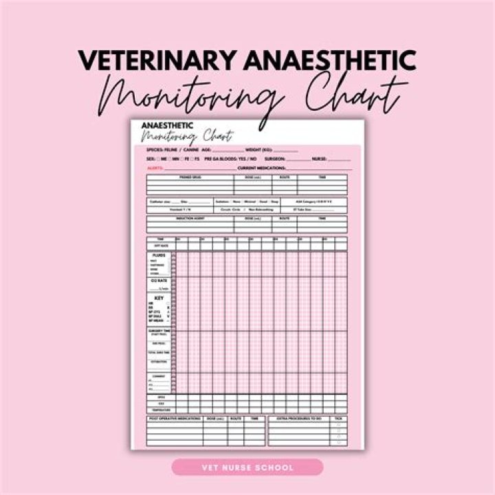 Veterinary Anesthesia Monitoring Sheet PDF – Essential Tool for Safe Pet Care