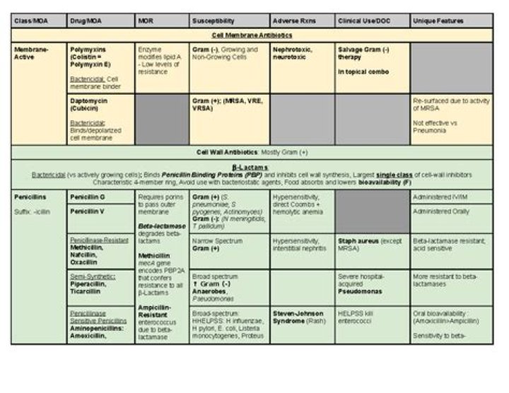 Veterinary Antibiotics List PDF – Complete Guide to Safe Use