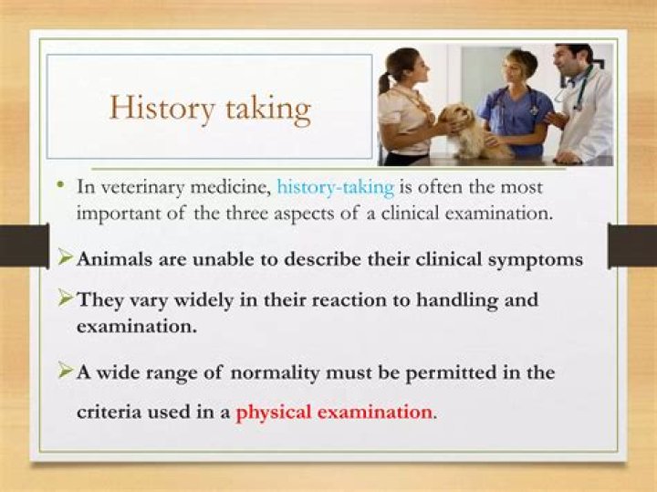 Essential Veterinary History Taking Questions PDF for Pet Owners