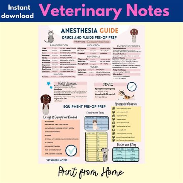 Comprehensive Veterinary Medicine List PDF – Free Download