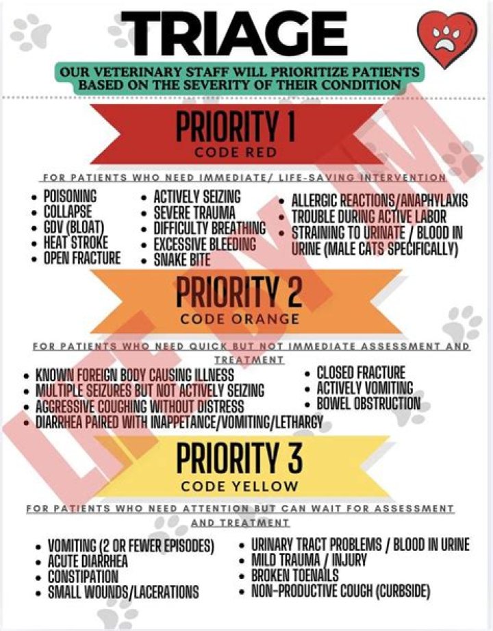 Veterinary Phone Triage Questions PDF: Essential Guide for Pet Care
