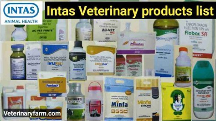 Veterinary Products List PDF: Complete Guide to Essential Pet Care Supplies