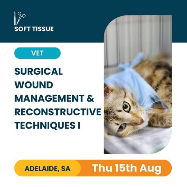 Veterinary Wound Management PDF: Essential Guide for Pet Care