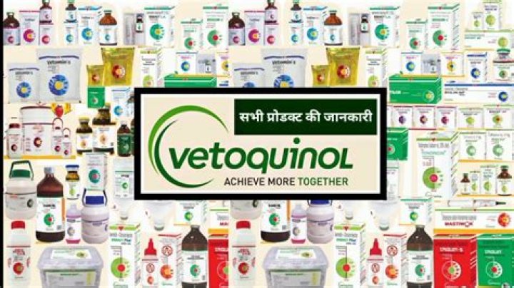 Vetoquinol Product List PDF: Complete Guide to Veterinary Medications