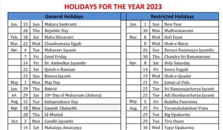 Vibgyor Holiday List 2024-25: Complete PDF Download