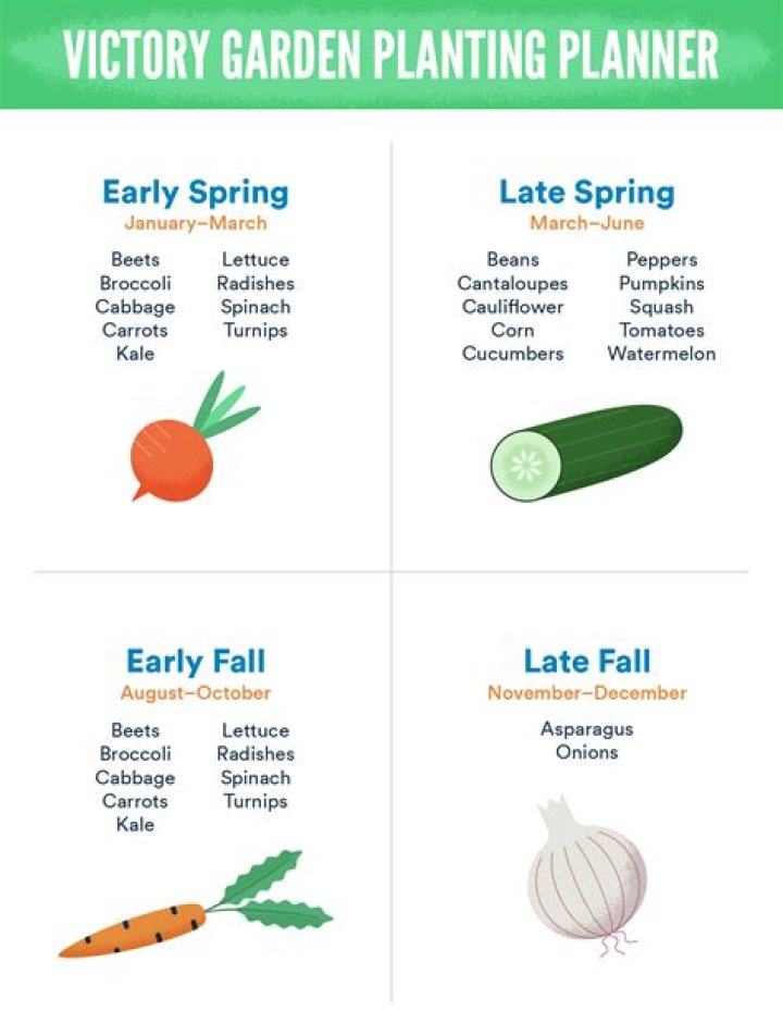 Victory Garden Planning PDF: Grow Your Own Food with Ease