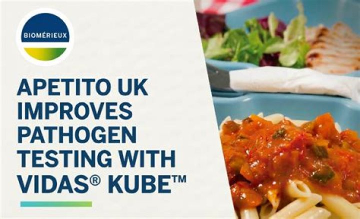 Vidas Kube Test Menu PDF: Download Complete Guide & Sample
