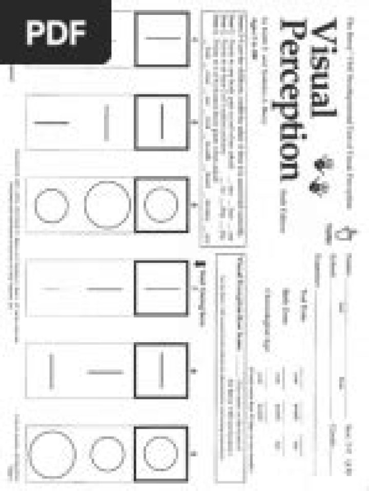 Visual Motor Integration Test PDF: Accurate Assessment for Developmental Evaluation