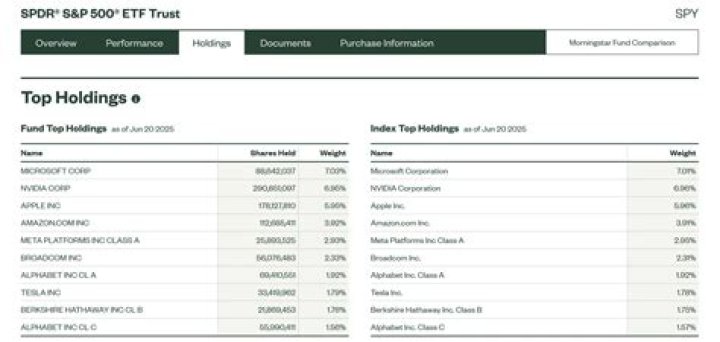 Voo Holdings List PDF: Complete Investor Access & Company Holdings
