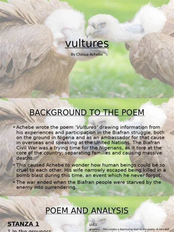 Vultures Poem: Questions & Answers PDF – Free Study Guide