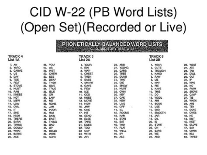 Download Free 22-Word PDF List for Easy Referencing