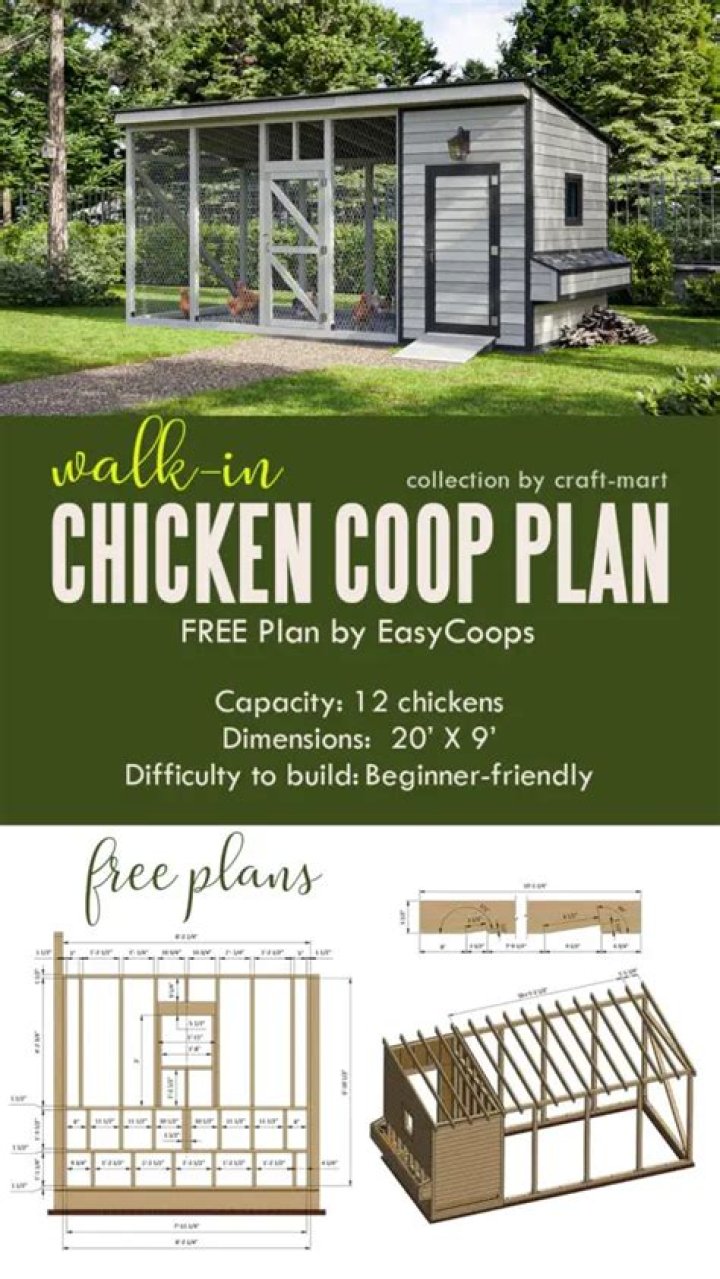 Walk-In Chicken Coop Plans PDF – Build Your Own Open-Space Hen House