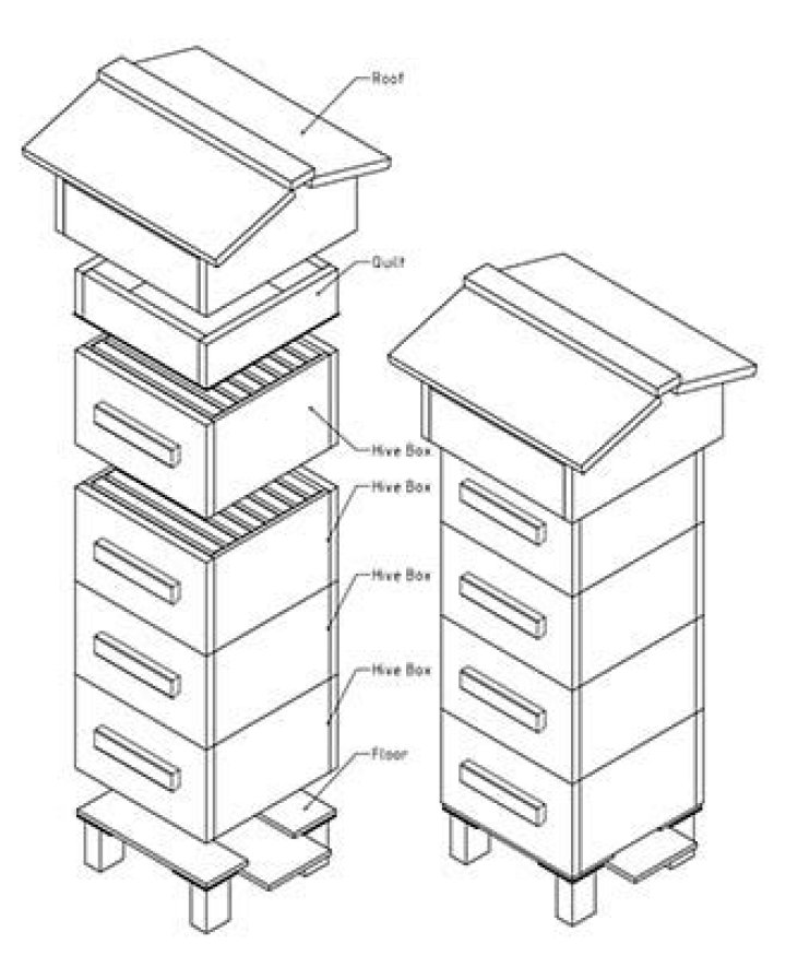 Warre Beehive Plans PDF: Build Sustainable Beekeeping Hives