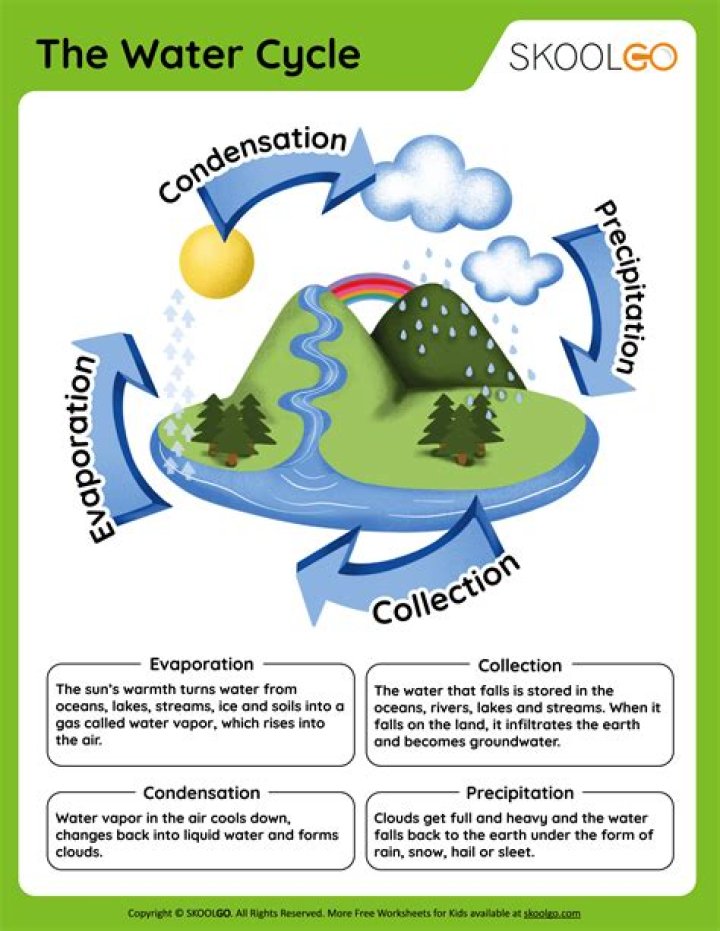 Free Water Cycle Worksheet for Middle School: PDF Printable Activity