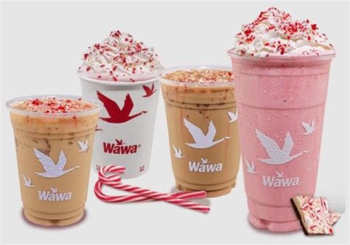 Free Wawa Ingredients List PDF – Instant Download
